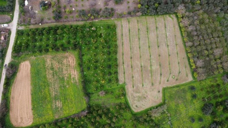 Stilos Kreta, Stilos: Charmantes ländliches Grundstück mit Bergblick zu verkaufen Grundstück kaufen